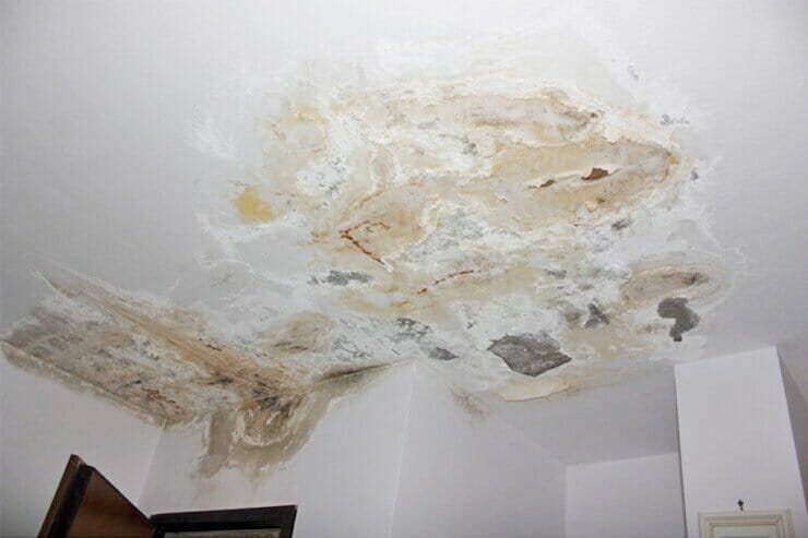 infiltrazioni-umidità