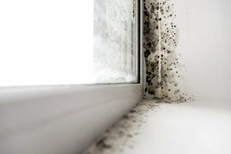 umidità-ponti-termici