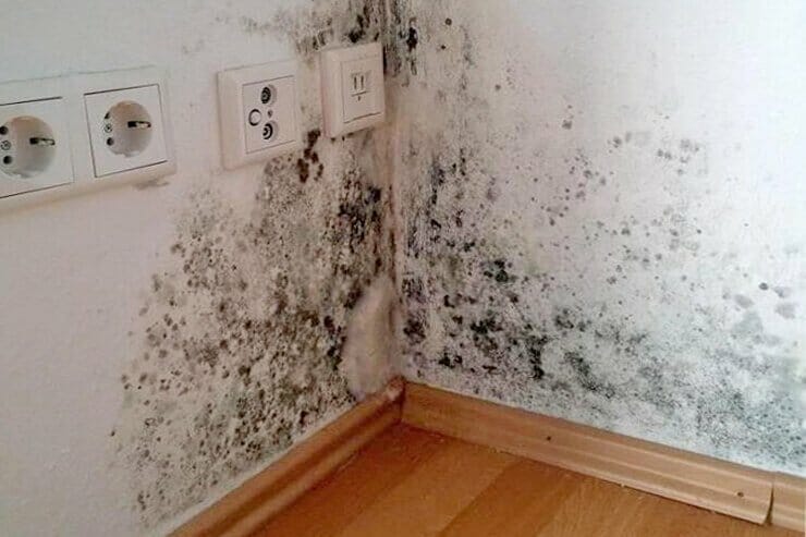 umidità-risalita-muri-interni