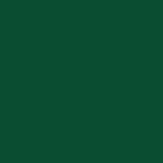 6005-verde-bucciato