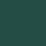 tapparelle-verde-scuro
